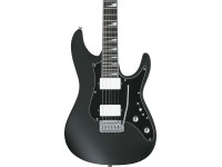 Ibanez BER10 Bernth Signature BK Ibanez BER10 Bernth Signature BK